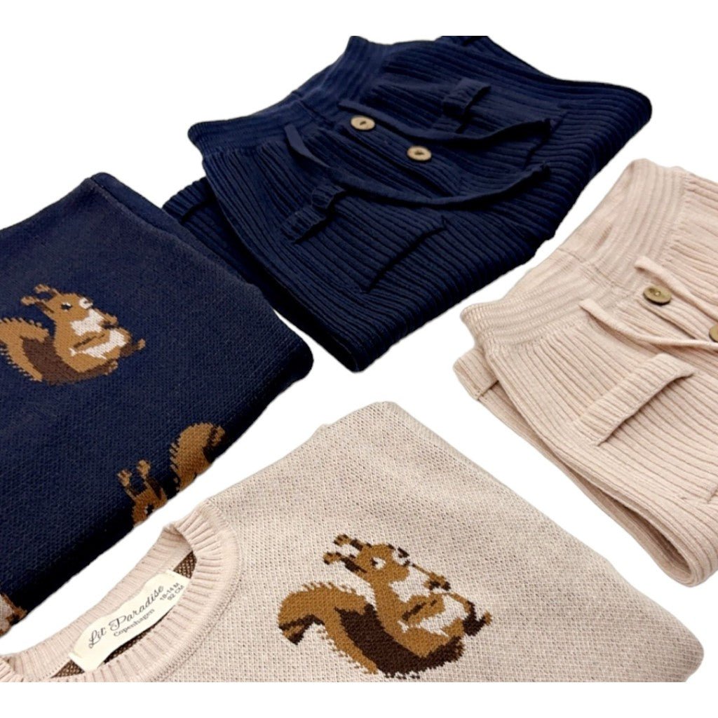 Squirrel knit sweater